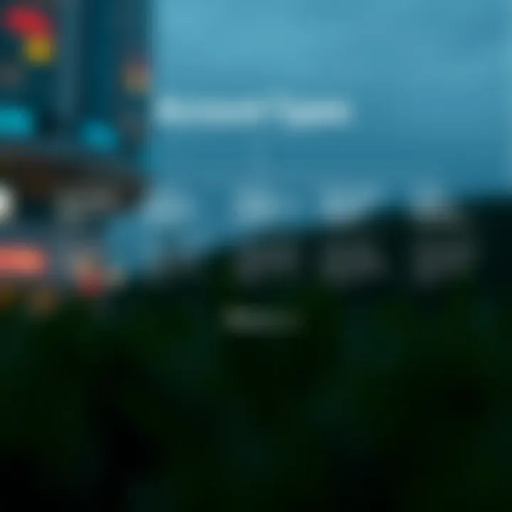 Graphical representation of different account types available on Deriv.com with feature highlights